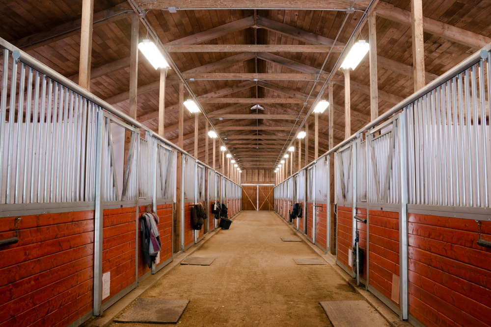 The center path through a horse barn